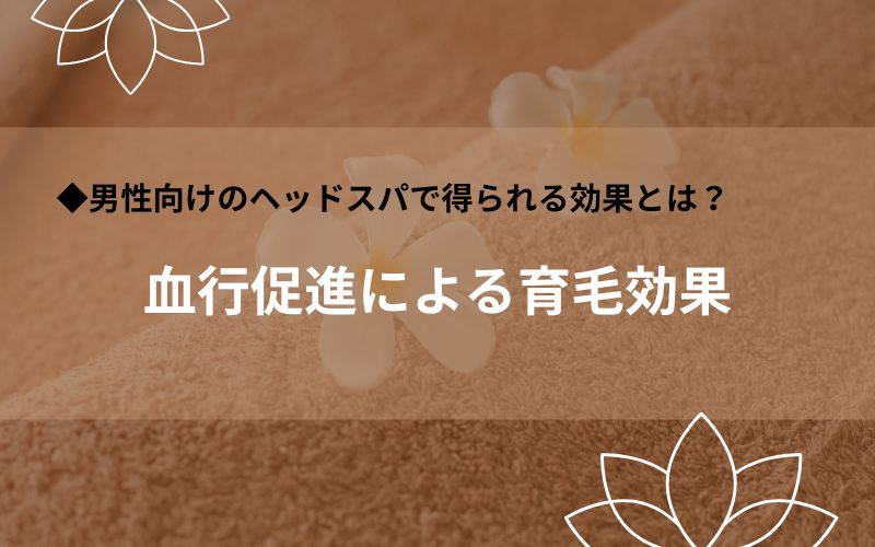 血行促進による育毛効果